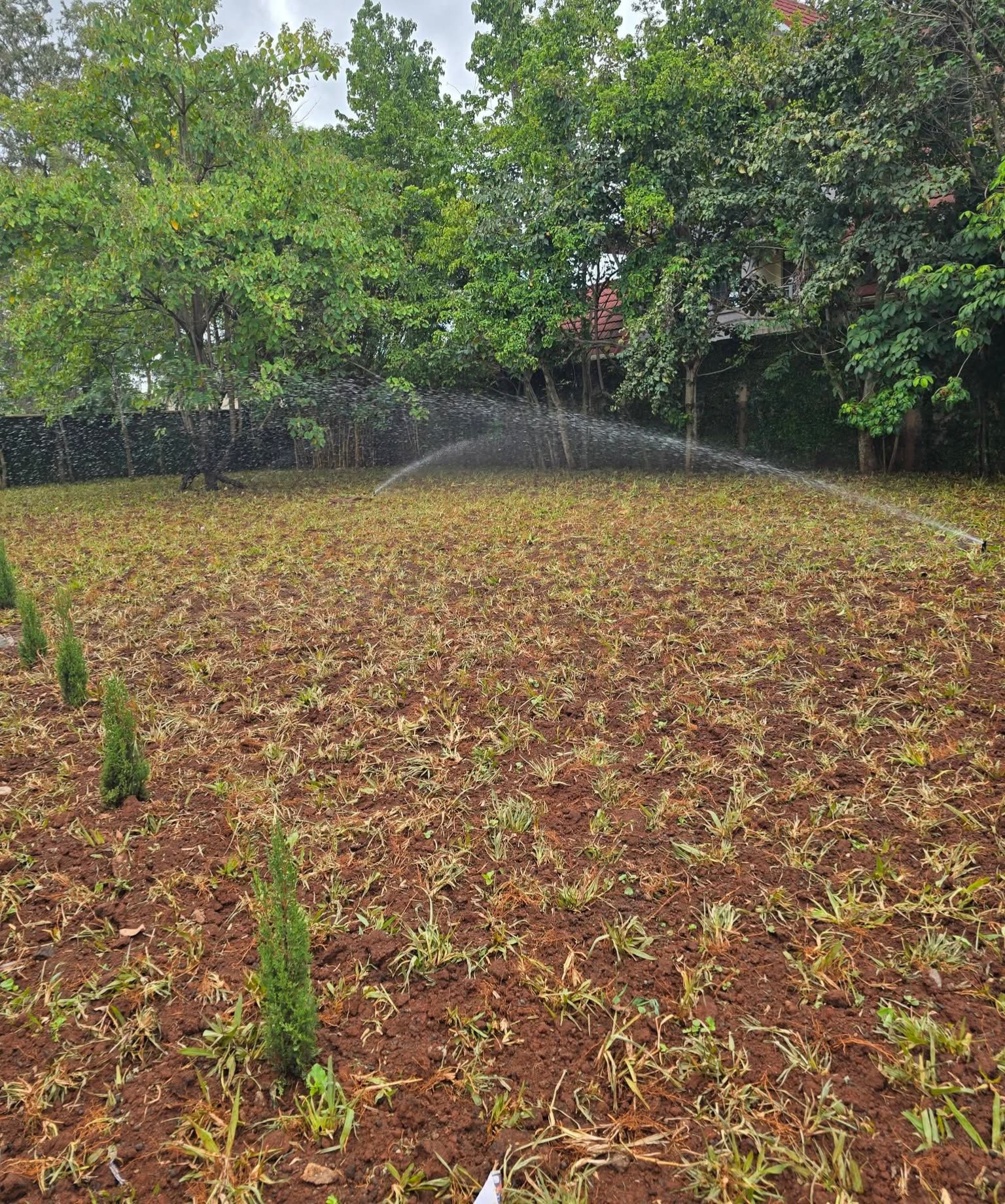 Landscape Project