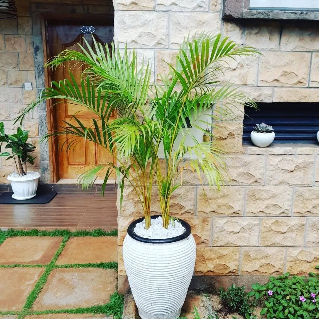 Landscape Project
