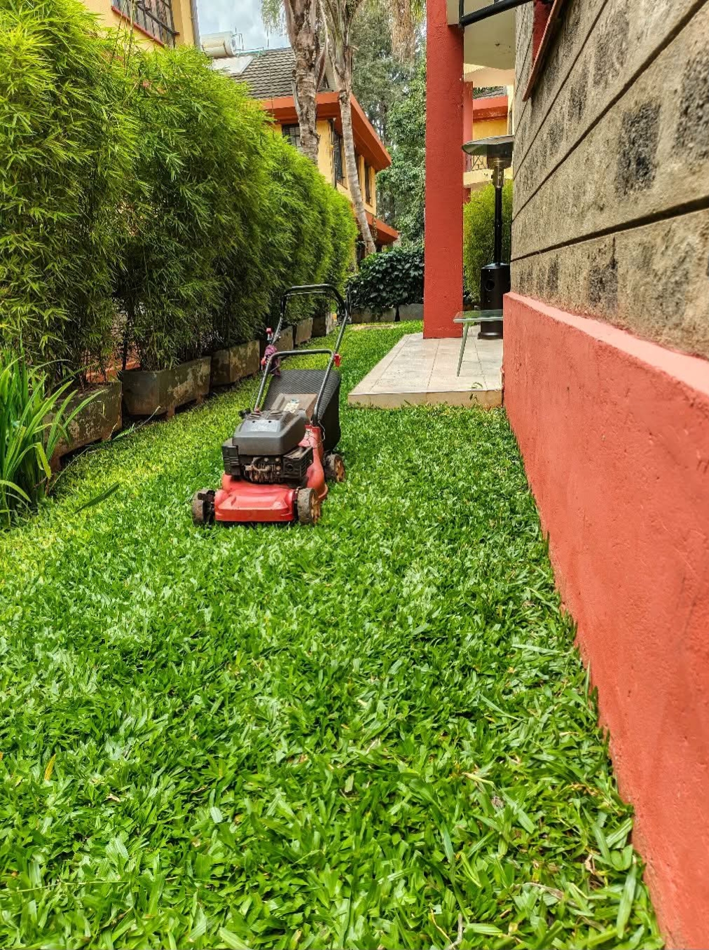 Lawn