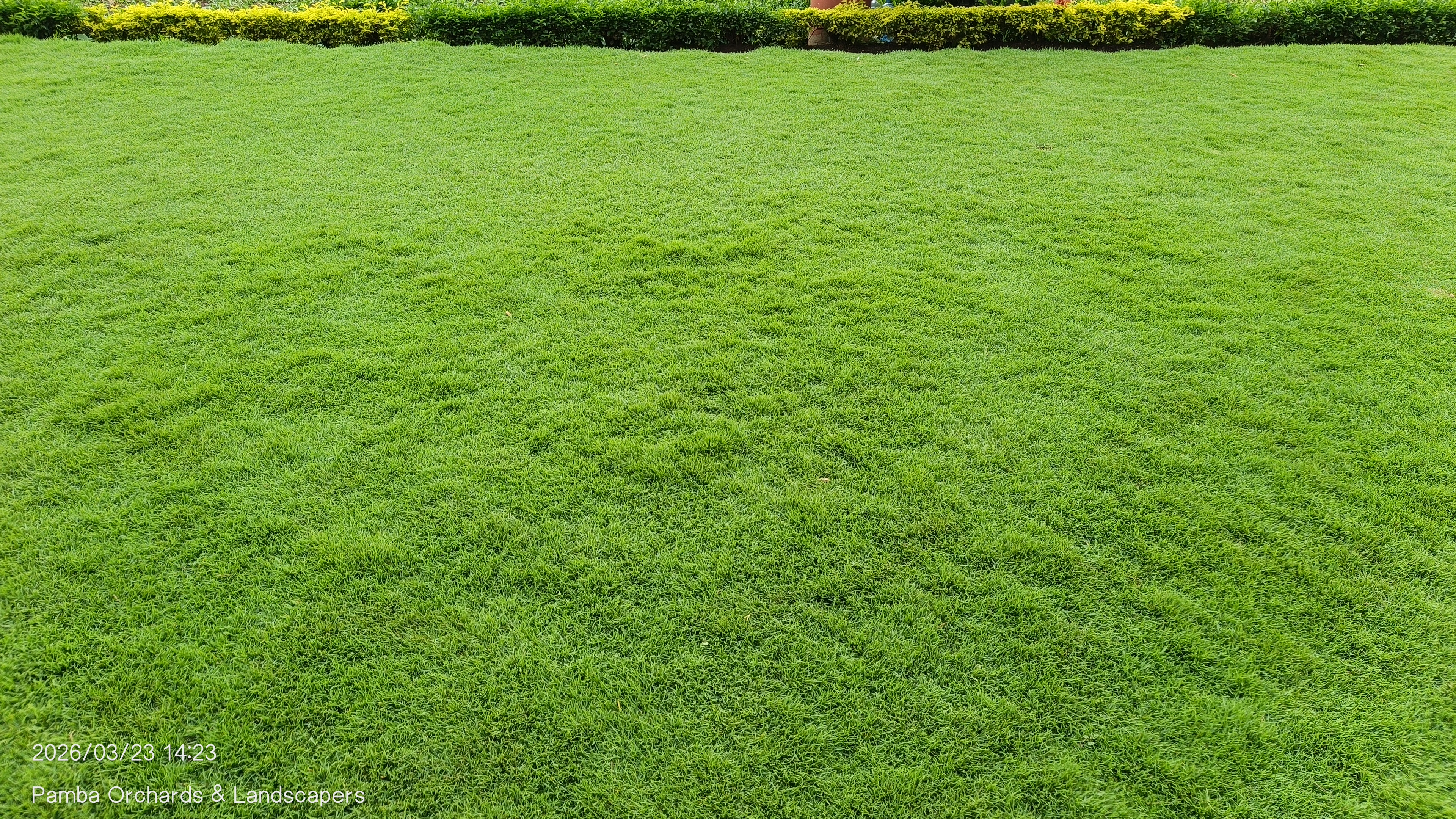 Landscape Project