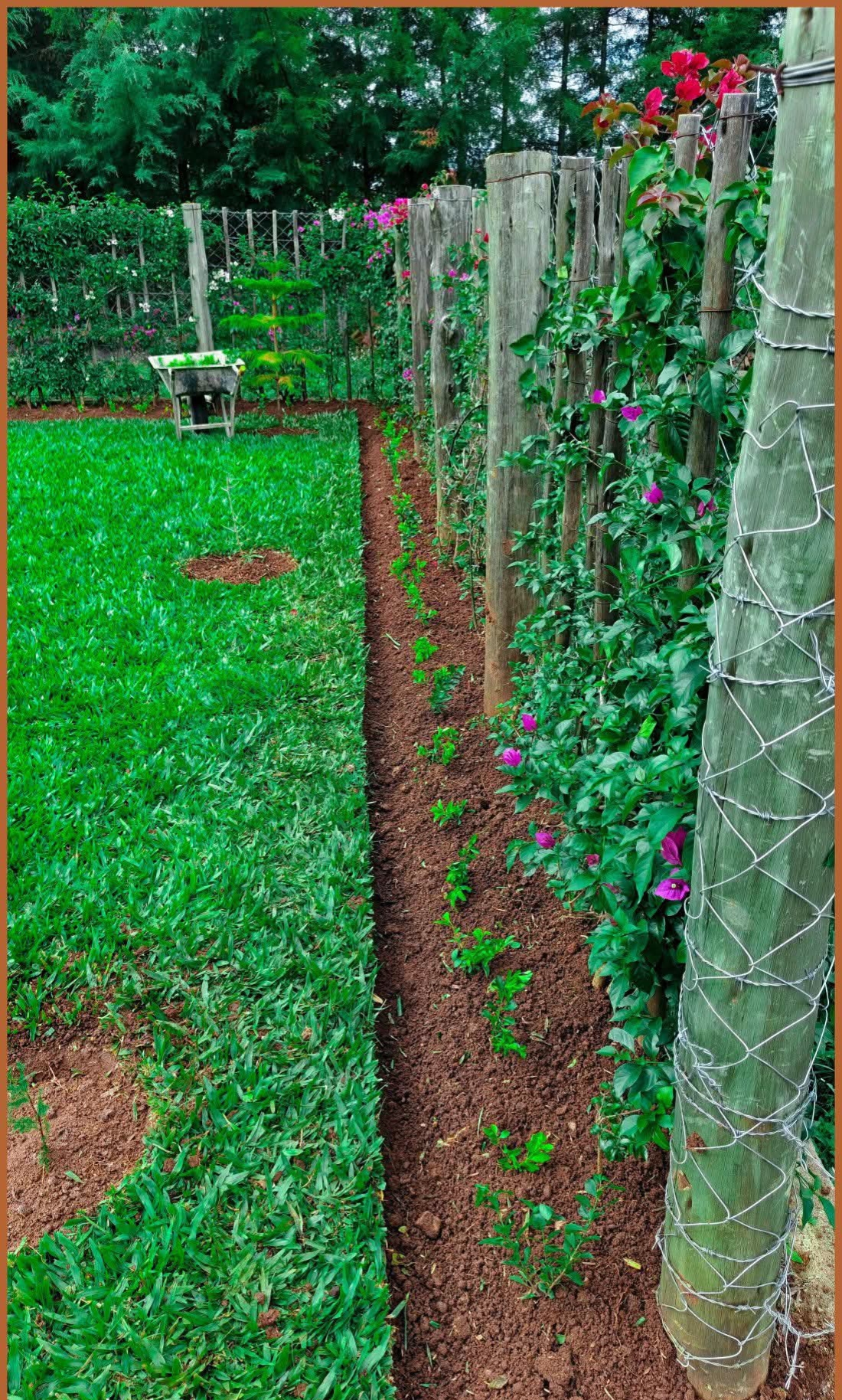 Landscape Project