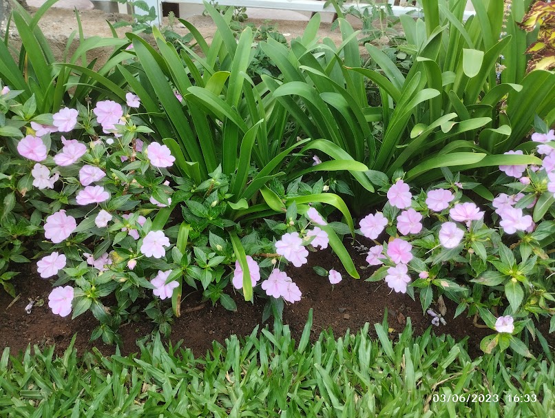 Landscape Project
