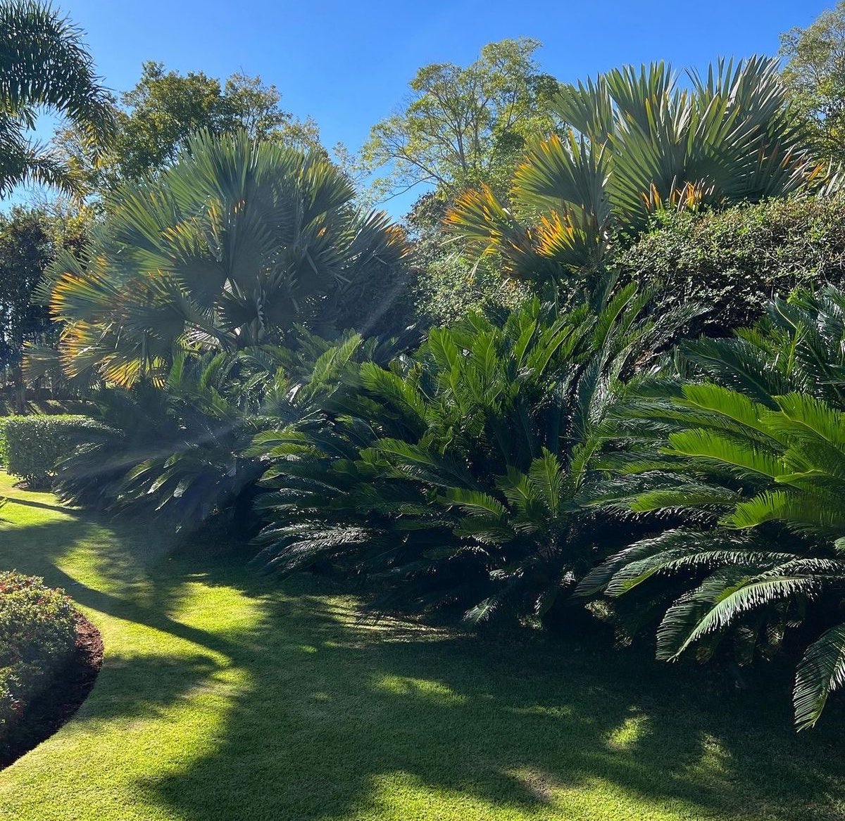 Landscape Project