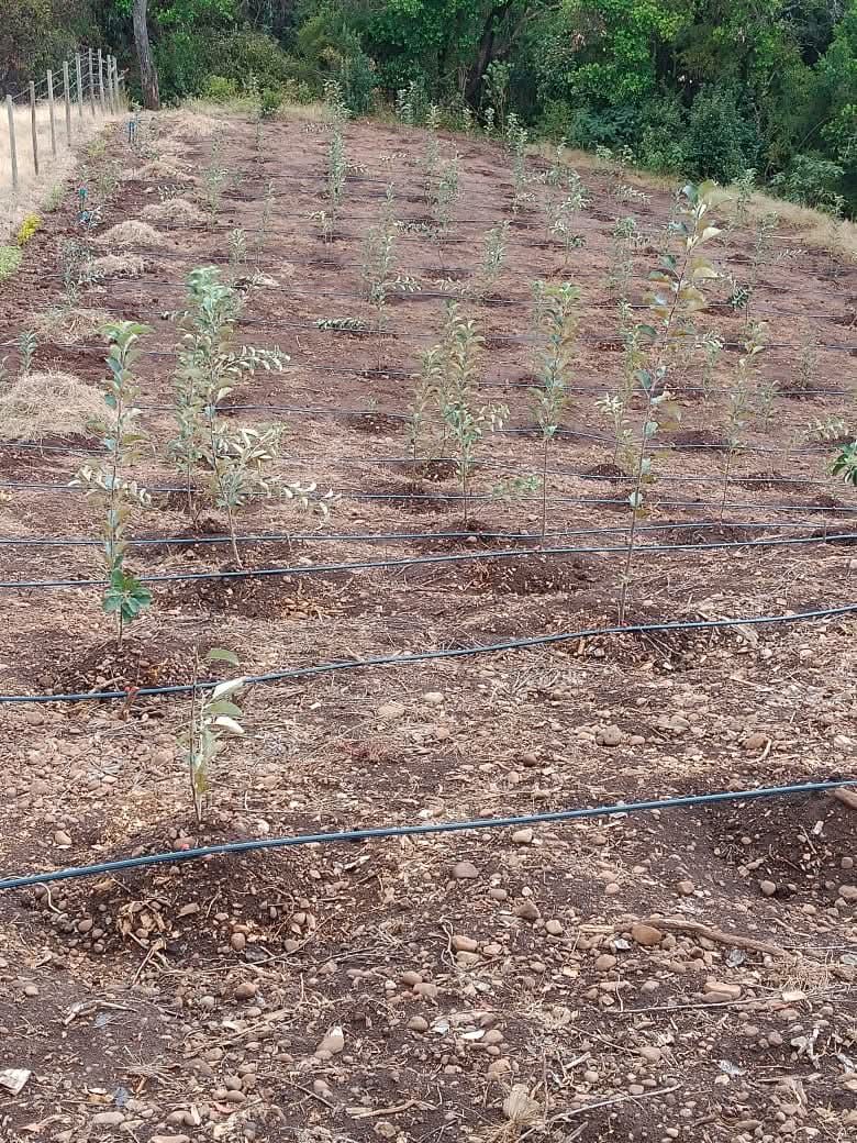 Landscape Project